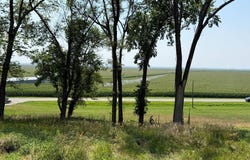2298 Bluff Rd, Sidney, IA 51652