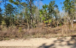 SE 148th Ave, Williston, FL 32696