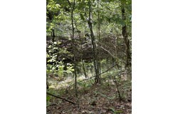 Pleasant Point, Mount Ida, AR 71957