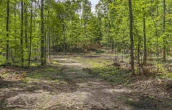 00 VALENCOURT ROAD, COPEMISH, MI 49625
