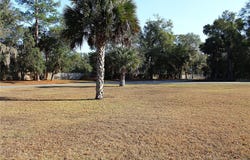 NE 6TH Place, SILVER SPRINGS, FL 34488