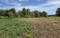 Stanislaus Street lot: 019, Eunice, LA 70535
