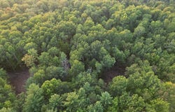 VL S Morrison Road, Alger, MI 48610