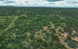2356 KC 314, Junction, TX 76849