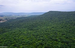 Off Kettle Road, New Enterprise, PA 16664