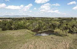 TBD Mt Harmony and Mountainview RD, Mansfield, AR 72944