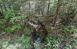 16 Black Bear Trail, Davis, WV 26260