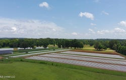 256 1st Street, Flora, MS 39071