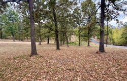 N Maple Street, Blue Eye, MO 65611