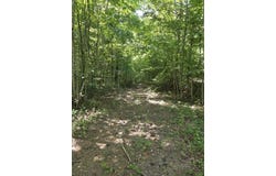 2096 State Highway 1036, Stanton, KY 40380