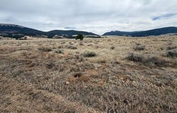 Soaring Eagle lot: 40 41 42, Eagle Nest, NM 87718
