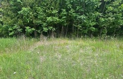 Elder Road, Carp Lake, MI 49718