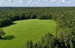006 Monticello Road, Wesson, MS 39191