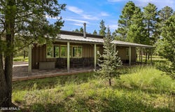 2970 Pine Rim Road, Overgaard, AZ 85933