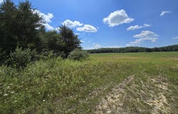 VL Leckrone Road, Brethren, MI 49619
