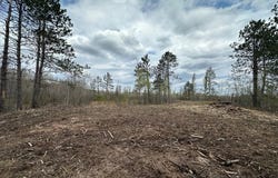 TBD #1 Koecher Road, Kerrick, MN 55756