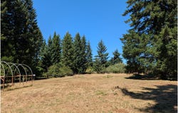 49241 MOUNTAIN VIEW Rd, Oakridge, OR 97463