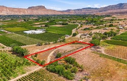 482 35 Road, Palisade, CO 81526
