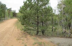 657 Pine Lane, Hartsel, CO 80449