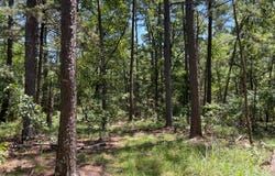 89 Wolf Trail, Moyers, OK 74557