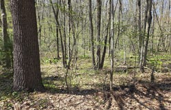 Union Road, Holland, MA 01521