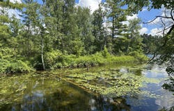1743 W 68th Street, Baldwin, MI 49304