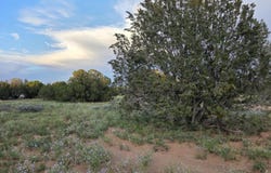 3908 Hidden Ranch Road, Snowflake, AZ 85937