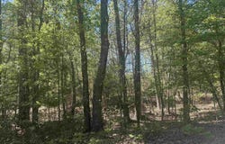 6889 Fm 1399, Linden, TX 75563