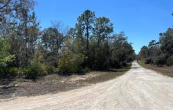 NORTHWEST Avenue lot: #32, WEBSTER, FL 33597
