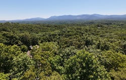 Flagpole Rd, Ellijay, GA 30540