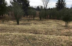 180-181 LEXINGTON, Gladwin, MI 48624