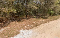 ANNETTE Avenue, INTERLACHEN, FL 32148