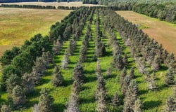 ET Rd, Eben Junction, MI 49825