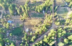831 Pine Forest Dr, Hayfork, CA 96041