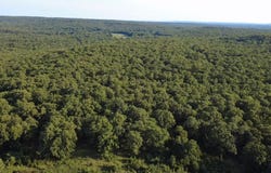 11927 S Crow rd, Webbers Falls, OK 74470