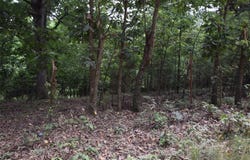 70331 E 360 Road lot: 0, Jay, OK 74346