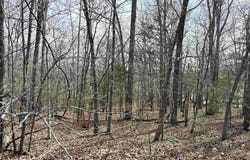 Giles Road, Hardy, AR 72542
