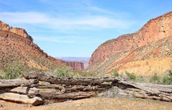 Gateway, CO 81522
