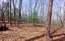Johnson Farm Road, Pilot Mountain, NC 27041