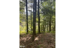 Eagle Nest Lane, Alger, MI 48610