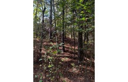230 Dodgen Road, Hampton, GA 30228
