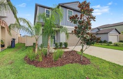 11621 RADIANT SHORE LOOP, SAN ANTONIO, FL 33576