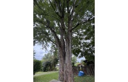 2 Jacobs, Chauncey, OH 45719