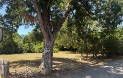 Frazier Street, Terrell, TX 75160
