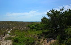 6908 Ocean Front Avenue lot: # 3A, Virginia Beach, VA 23451