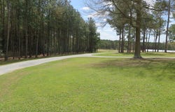 160 Betty Sanderson Rd, WAYNESBORO, MS 39367