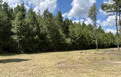 644 Case Rd, Slocomb, AL 36375