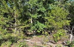 21200 NEAL DR, Lebanon, MO 65536