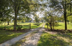 1660 Dunn Road, Southside, AL 35907