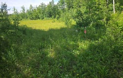 579 Maple Ridge Road, Harrison, ME 04040
